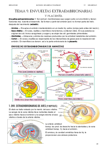 Tema-9-Envueltas-embrionarias.pdf