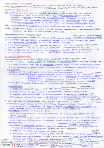 LAB-Biochemistry.pdf