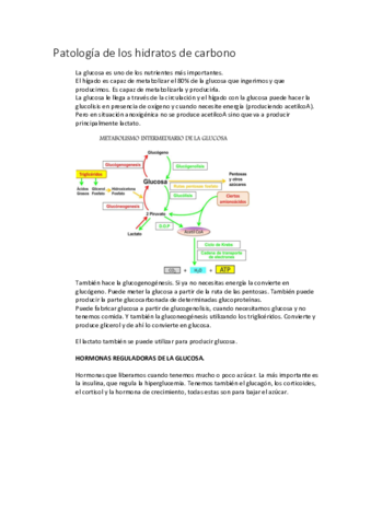 Patologia-de-los-hidratos-de-carbono.pdf