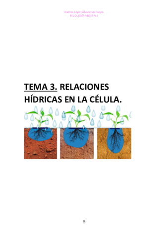 TEMA-3-FISIO-VEGETAL-I.pdf