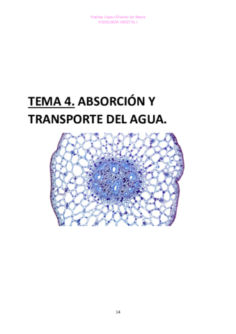 TEMA-4-FISIO-VEGETAL-I.pdf