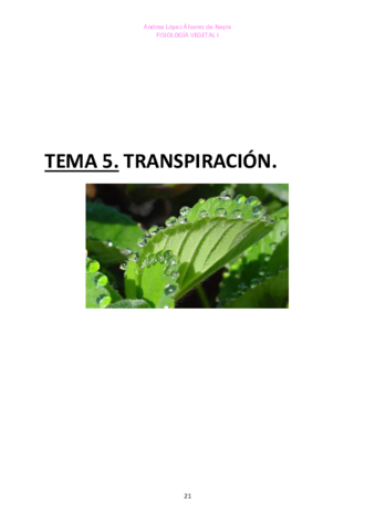 TEMA-5-FISIO-VEGETAL-I.pdf