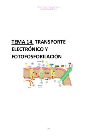 TEMA-14-FISIO-VEGETAL-I.pdf