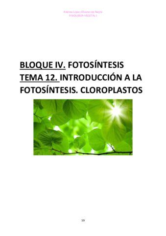 TEMA-12-FISIO-VEGETAL-I.pdf