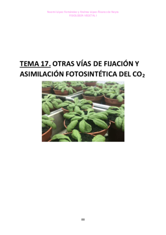 TEMA-17-FISIO-VEGETAL-I.pdf