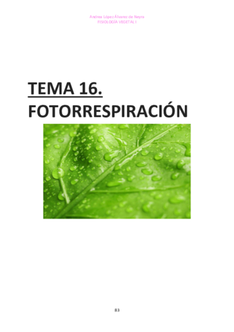 TEMA-16-FISIO-VEGETAL-I.pdf