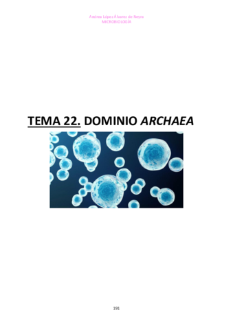 TEMA-22-MICRO.pdf