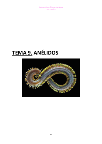 TEMA-9-ZOO.pdf