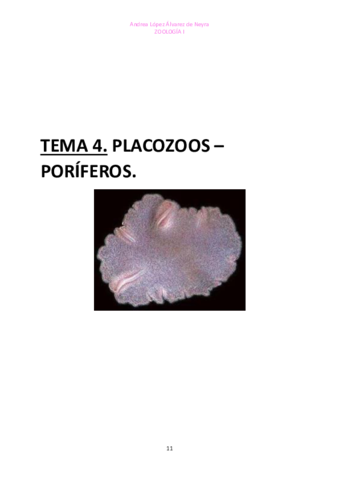 TEMA-4-ZOO.pdf