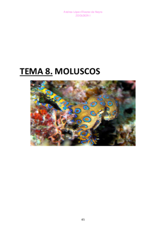 TEMA-8-ZOO.pdf
