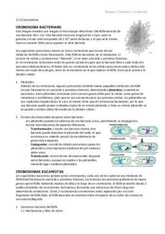 3.2 Cromosomas