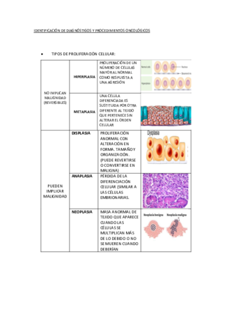IDENTIFICACION-DE-DIAGNOSTIGOS-Y-PROCEDIMIENTOS-ONCOLOGICOS.pdf