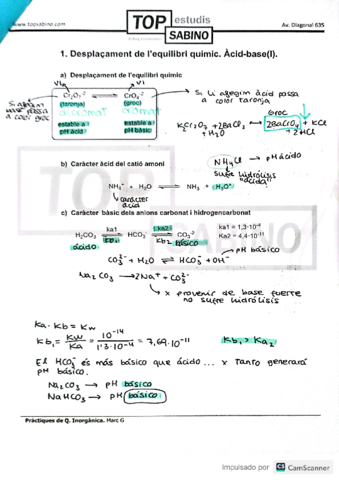 APUNTS-PRACTIQUES-INORGANICA--EXAMENS.pdf