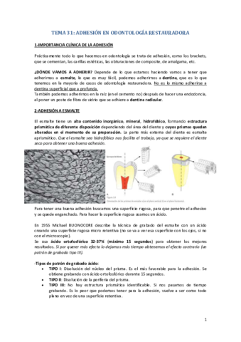 TEMA-31.pdf