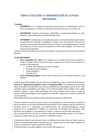 TEMA-6.pdf