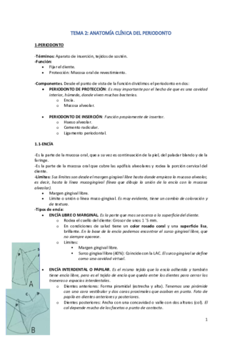 TEMA-2.pdf