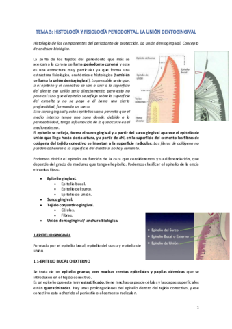 TEMA-3.pdf