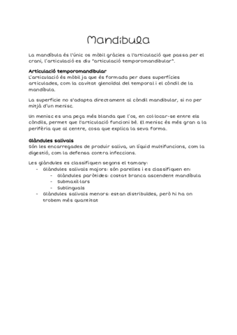 Mandibula.pdf