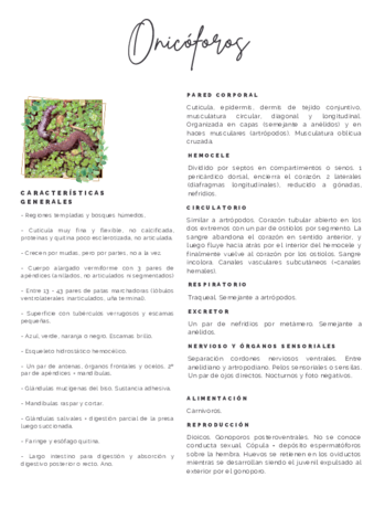 Apuntes-Zoologia.pdf