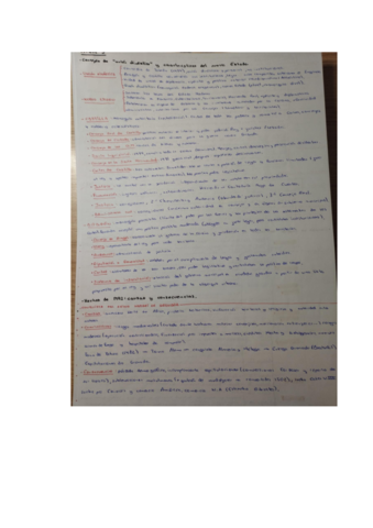 ESQUEMAS-BLOQUES-3-Y-4.pdf