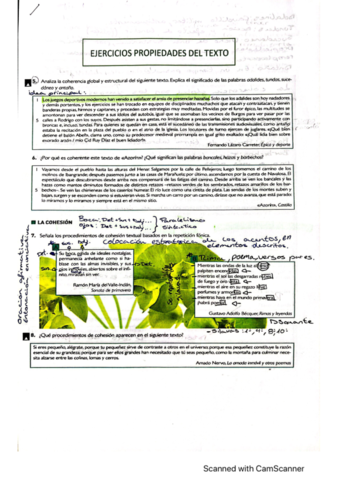 propiedades-del-texto-resueltas.pdf
