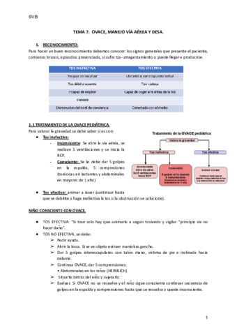 JESSCopia-de-TEMA-7-SVB-1.pdf