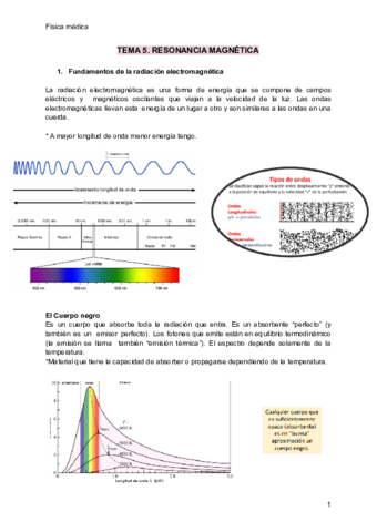 TEMA-5-fisica-medica.pdf