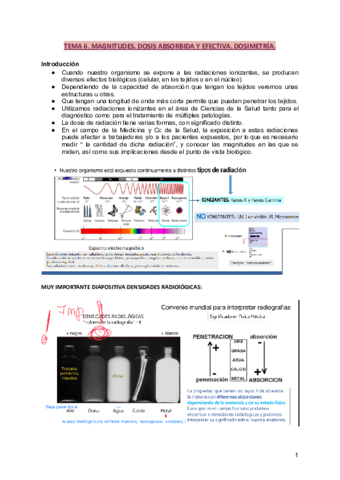 TEMA-6.pdf