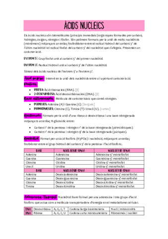 Acids-nucleics.pdf
