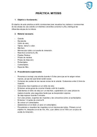 PRACTICA-MITOSIS-1.pdf