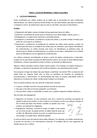 TEMA-2-TIA.pdf