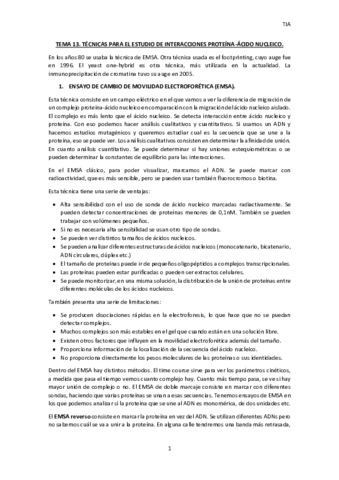 TEMA-13-TIA.pdf