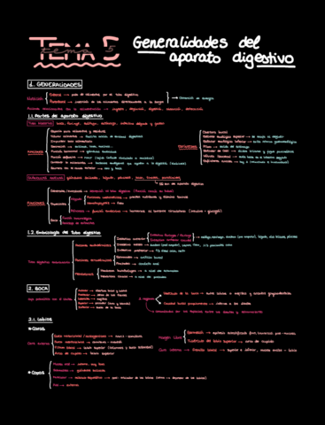 Resumen-2oP-esplacno.pdf