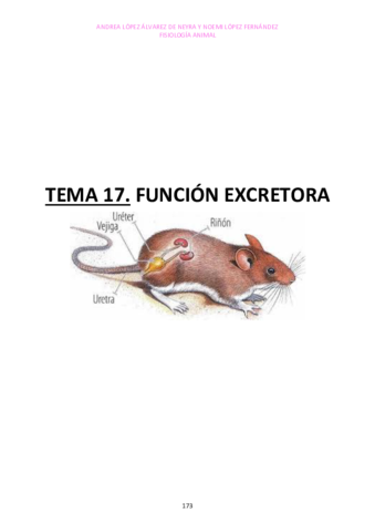 TEMA-17.pdf