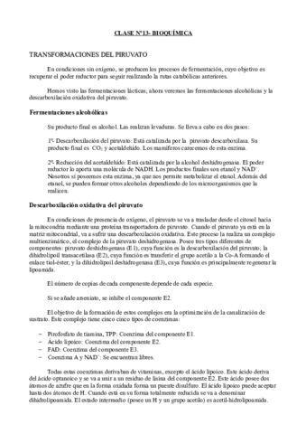 Clase 13- Bioquímica.pdf