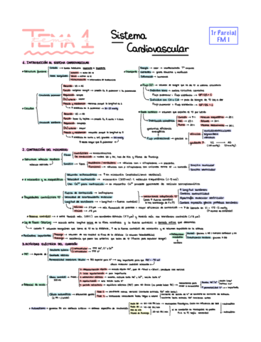FM1-Cardio-resumen.pdf