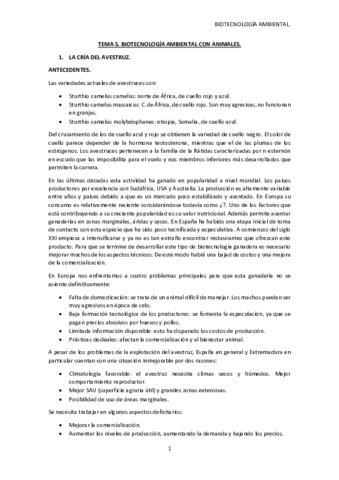 TEMA-5.pdf