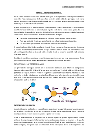 TEMA-2.pdf
