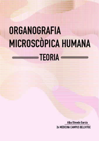 TEMA-11.pdf