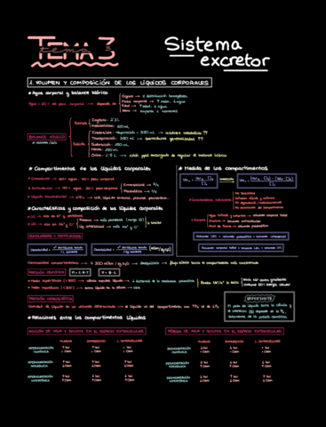 Resumen-excretor-FM1.pdf