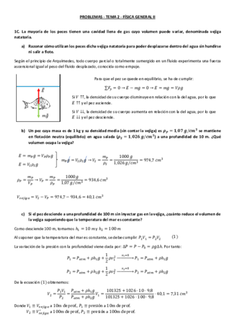 PROBLEMAS-TIPO-C-TEMA-2.pdf