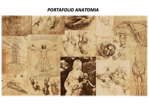 PORTAFOLIO-ANATOMIA-1.pdf