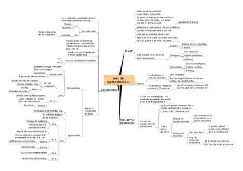 El-metabolismo-celular-2.pdf
