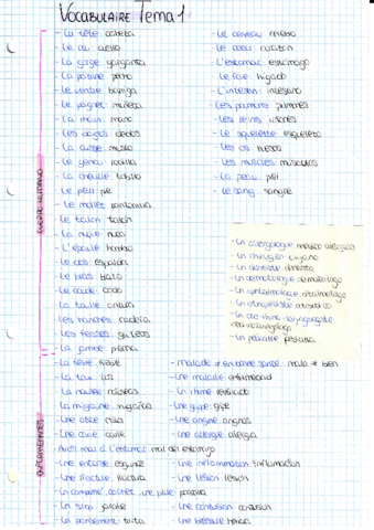 Vocabulario-cuerpo-humano-salud-y-accidentes.pdf