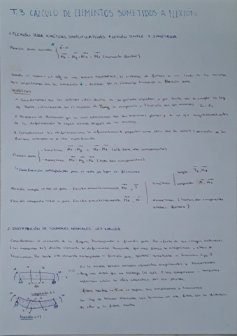 T3-FLEXION-.pdf