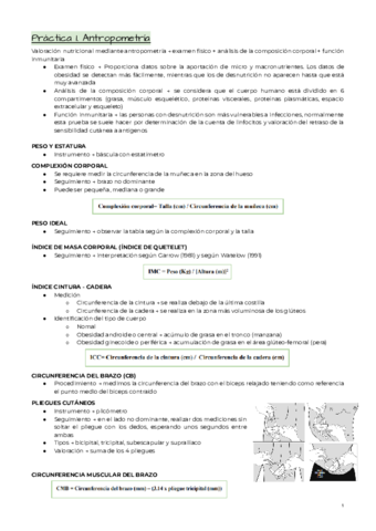 Practicas.pdf