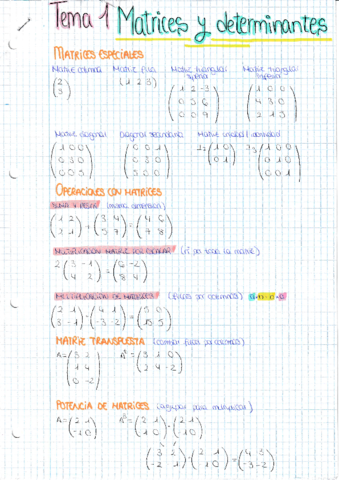 Tema-1-Matrices-y-determinantes.pdf
