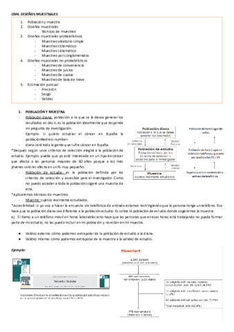 CM4-Disenos-muestrales.pdf