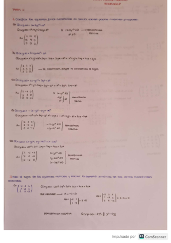 PRACTICAS-MATES-II.pdf