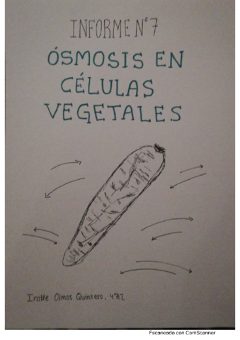 OSMOSIS-EN-CELULAS-VEGETALESIRATXE-OLMOS.pdf